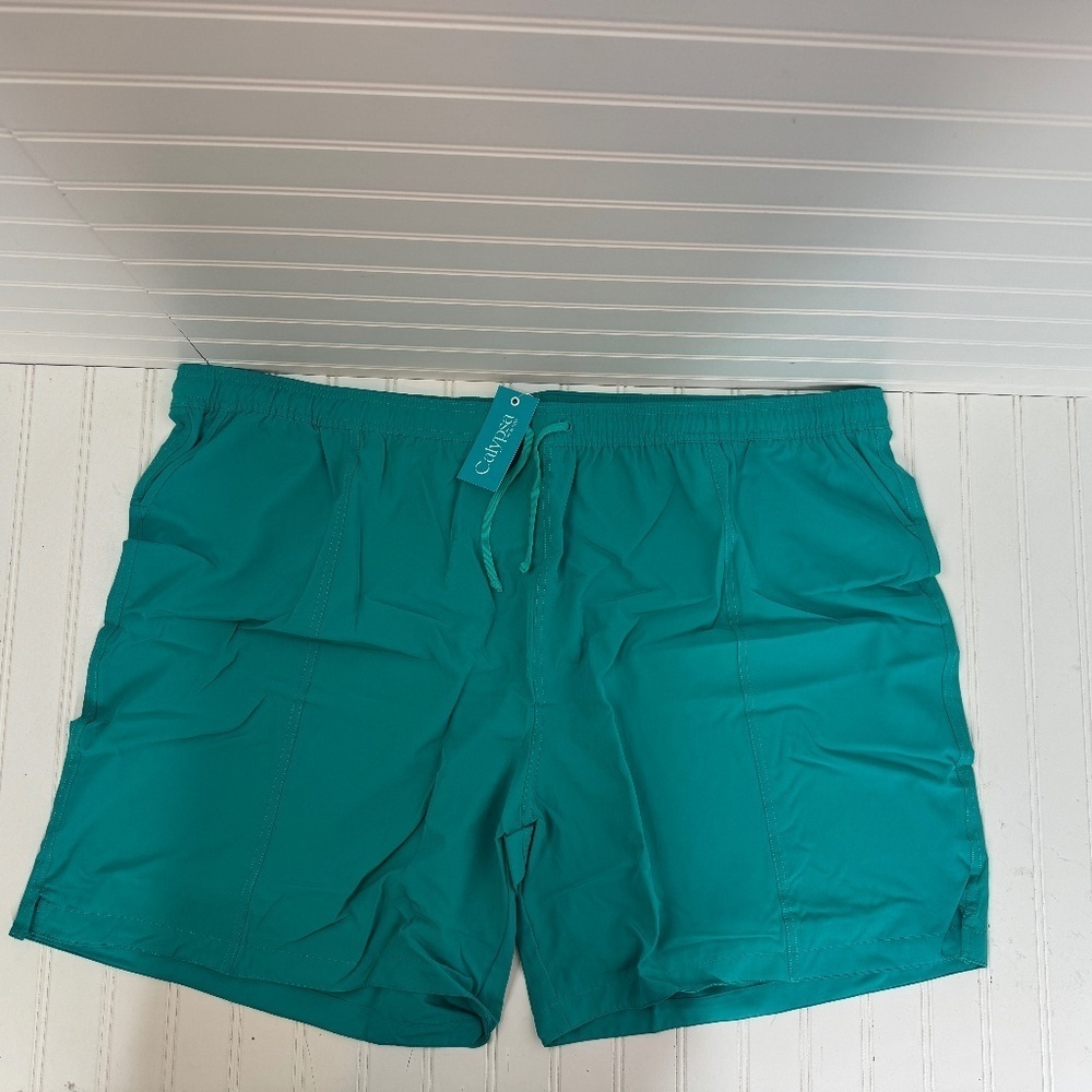 NEW Calypsa 7in Board Shorts 4X